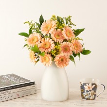 FC2218-PLACING.jpg