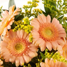 FC2218-DETALLE.jpg