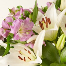 FC2677-DETALLE.jpg