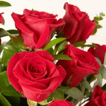 FC2391-DETALLE.jpg