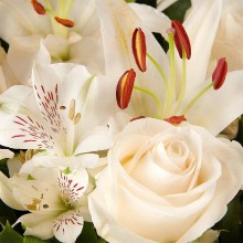 FQ119-DETALLE.jpg