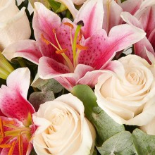 FQ2313-DETALLE.jpg