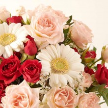 FQ41016-DETALLE.jpg