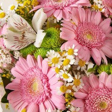 FQ41021-DETALLE.jpg