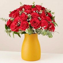 Warm Embrace: 24 Red Roses 