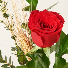 rosa detalle_op (1).jpg