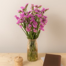 2022.05.25-SHOOTING-BUNCHES-Limonium Statice Rosa Fuschia-FL200009-2-FONDO-PROPS.jpg