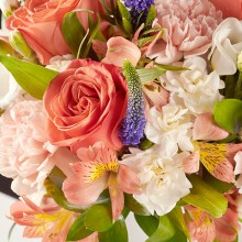 floraqueen5109.jpg