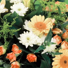 gerberas (1).png