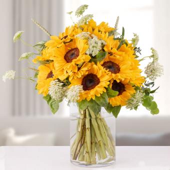 Exuberant Blaze: 15 Sonnenblumen und Bischofskraut