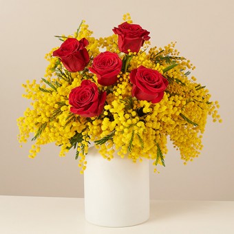 Passionate Mimosa: Mimose e Rose Rosse