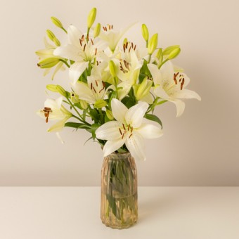 Promise of Love: White Liliums