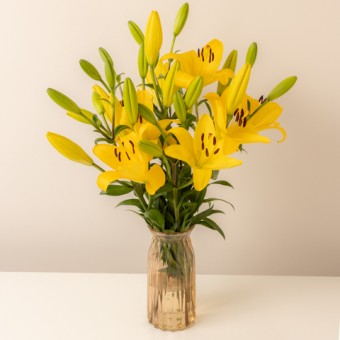 Friends Rendezvous: Yellow Liliums