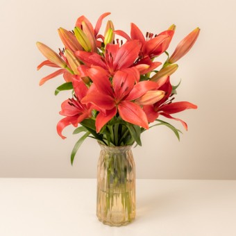 Blooming Summer: Red Liliums
