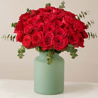 Безусловная любовь: красных роз