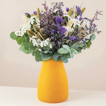 Boreal: Statice e Limonium Boreal: Statice e Limonium