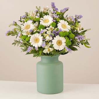 Buy Gerberas Online with International Delivery | FloraQueen