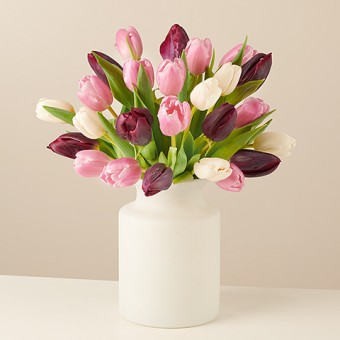 Unwind: White and Pink Tulips
