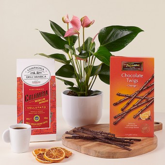 Anthurium Dream: Anthurium and Colombian Coffee Anthurium Dream: Anthurium and Colombian Coffee