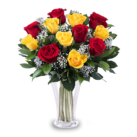 12 Red and Yellow Roses - Rose Bouquet Delivery - FloraQueen
