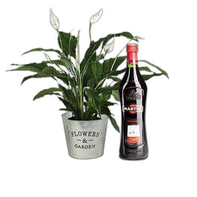 Spathiphyllum blanco y Martini rojo