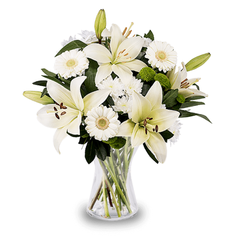 White Conodolences: Lilies and Gerberas