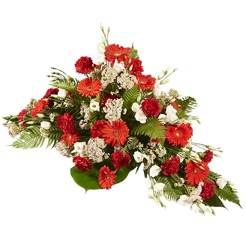 Product photo for Flowered Path: Claveles y Gerberas