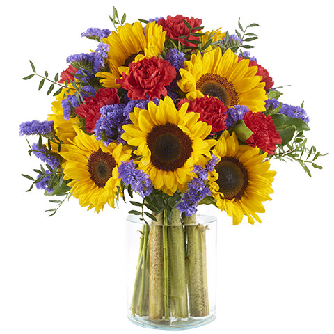 Sunflowers and Carnations - International Flower Delivery ...