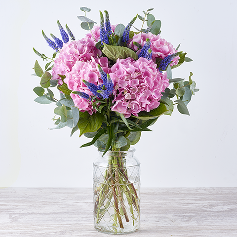 Lucía: Hortensias y Eucalipto