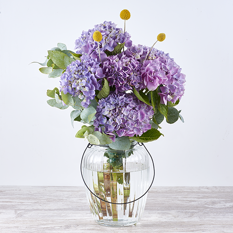 Lola: Hortensias y Craspedia