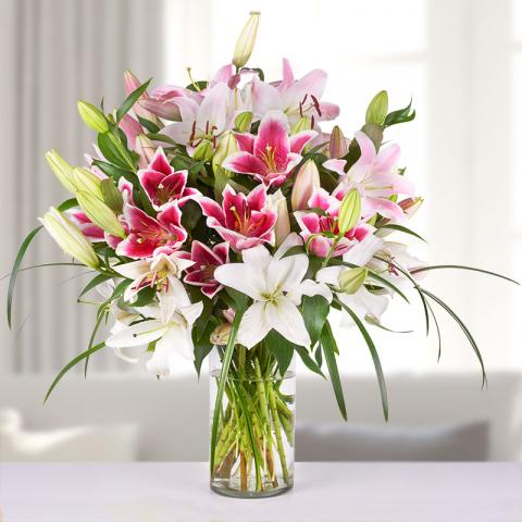 Sweet Delicacy: White and Pink Lilies