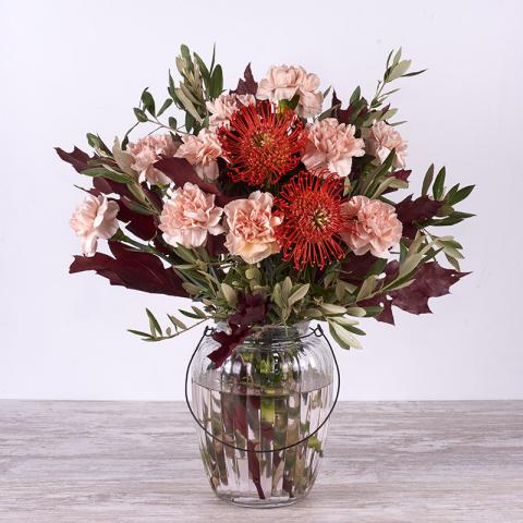 Protea: otoño de claveles
