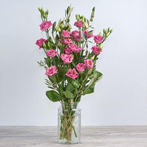 Rosita: lisianthus rosa