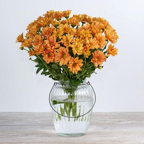 Mariposa: crisantemos naranjas