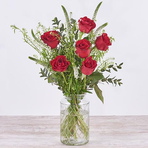 Fortaleza: rosas rojas y verónica