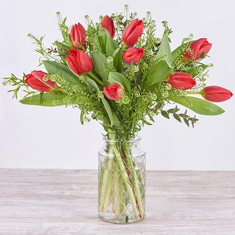 Hermosa Promesa: Tulipanes Rojos