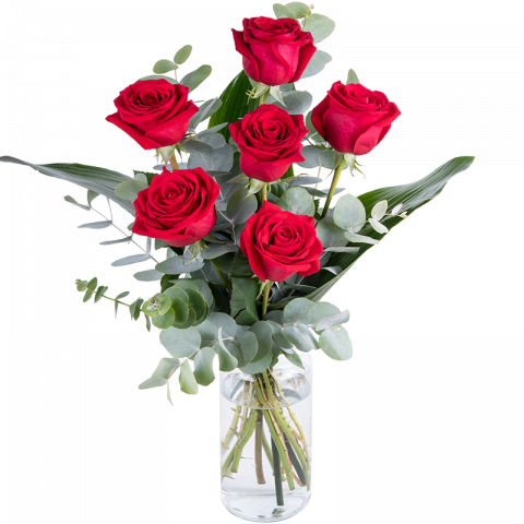 Dilo con Rosas: 6 rosas rojas