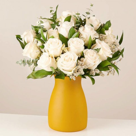 Roses's Elegance: White Roses