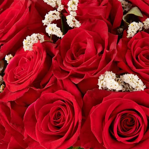 FQ20005-DETALLE.jpg