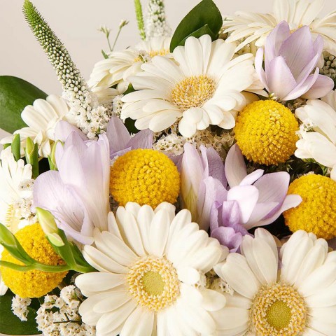 FQ41012-DETALLE.jpg