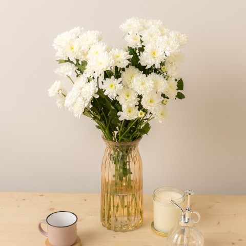 2022.05.25-SHOOTING-BUNCHES-Chrysanthemums blanco-FL200013-2-FONDO-PROPS.jpg