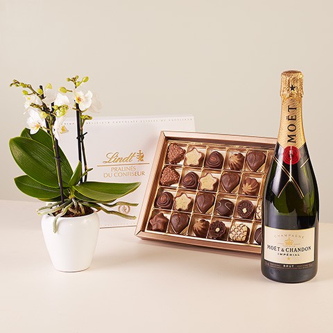 Product photo for Merveilles du chocolat : sélection d'orchidées et de pralines