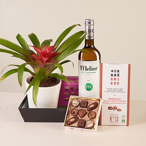 Product photo for Tropical Sweetness: Bromeliad and White Wine