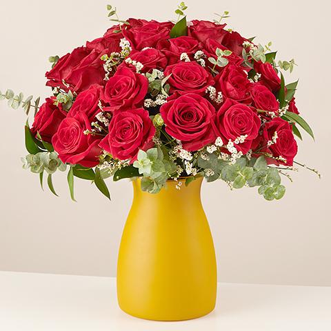 Product photo for Warm Embrace : Roses Rouges