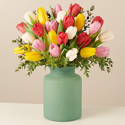 Product photo for Rainbow: Tulipanes Multicolor