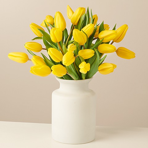 Product photo for Sunny Day: Yellow Tulips