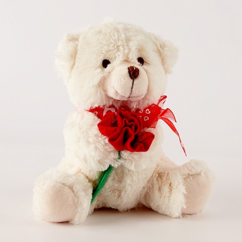 Image of Tenero teddy055