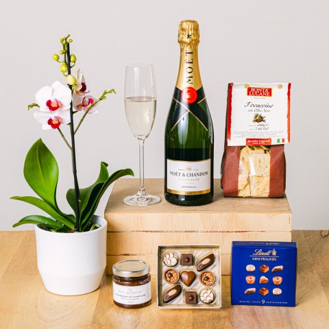 Image of Cesto con mini Orchidea e Champagne online055